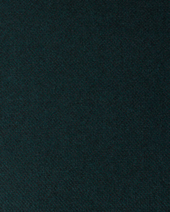 0T3A0941